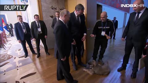 Srbi poklonili Putinu psa