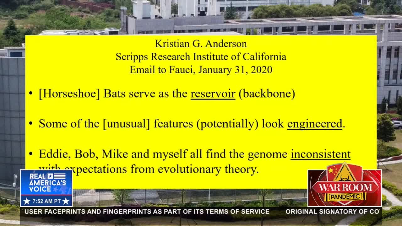 'That Was Evil': Navarro Assails Chris Wallace For Covering Up for Dr. Fauci