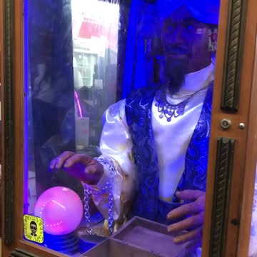 Zoltar- Downtown Hollywood