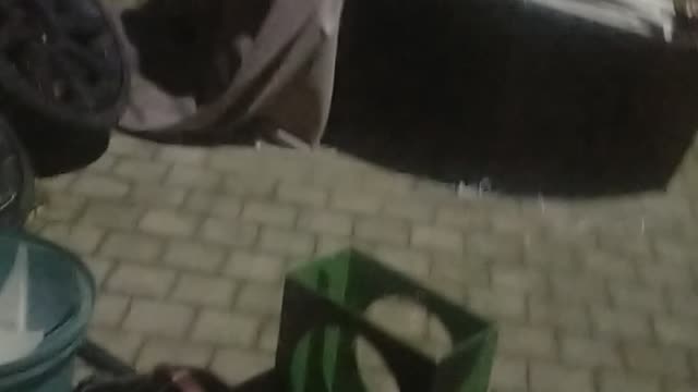 Something is making noise