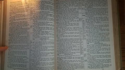 Numbers 23