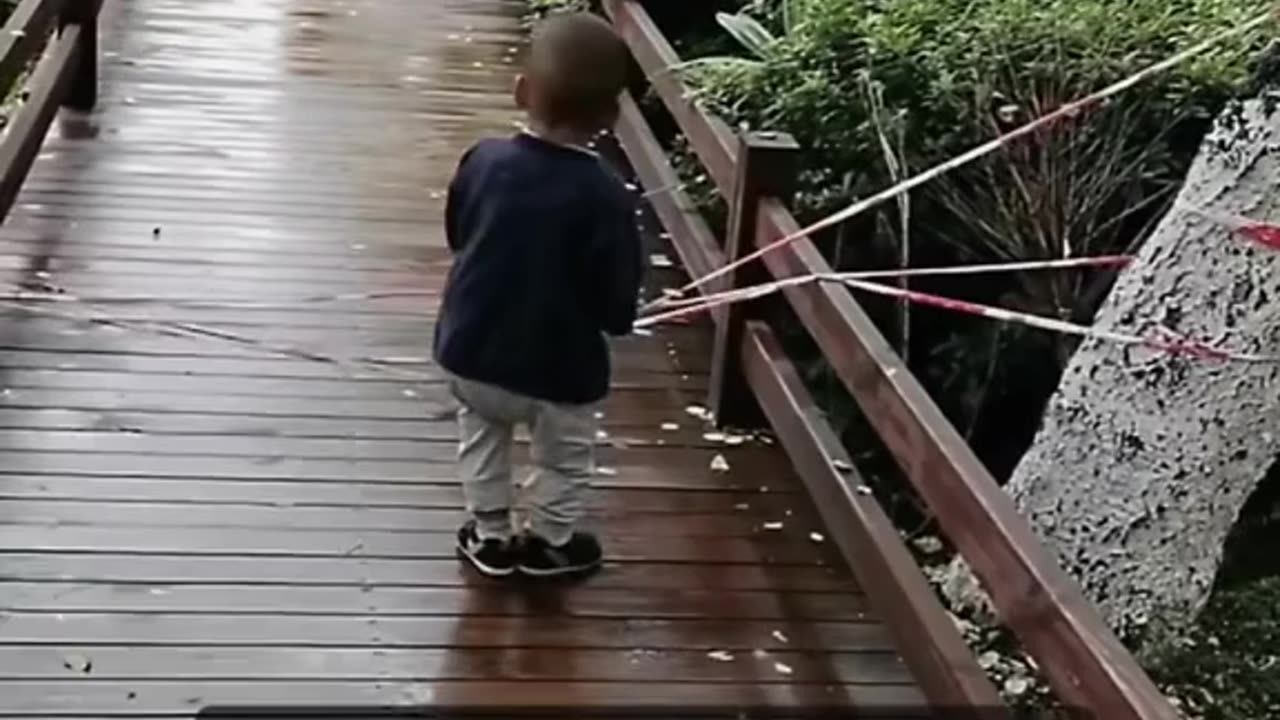 Father Teach His Little Boy to be Independent