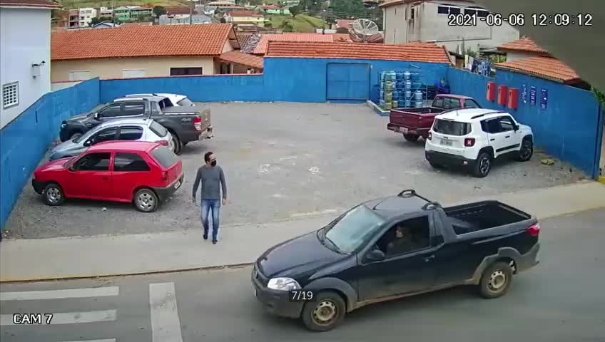 Accident with dog