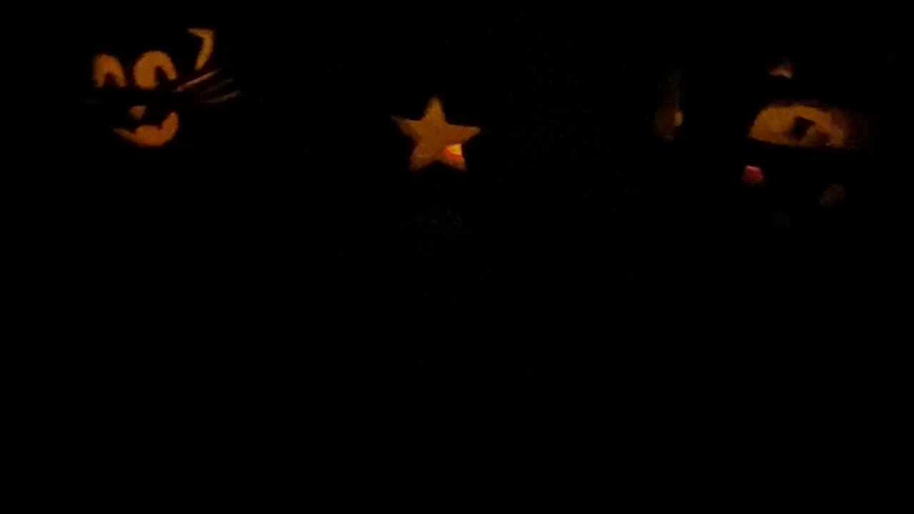 We lit up the pumpkins