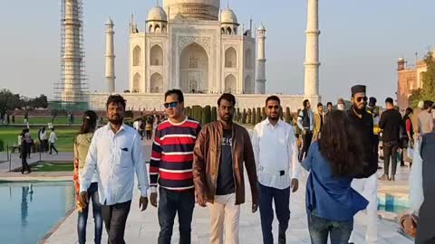 Taj of India