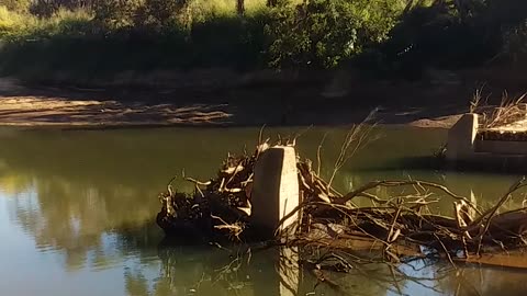 16.6.2024 The Barron River, Kuranda