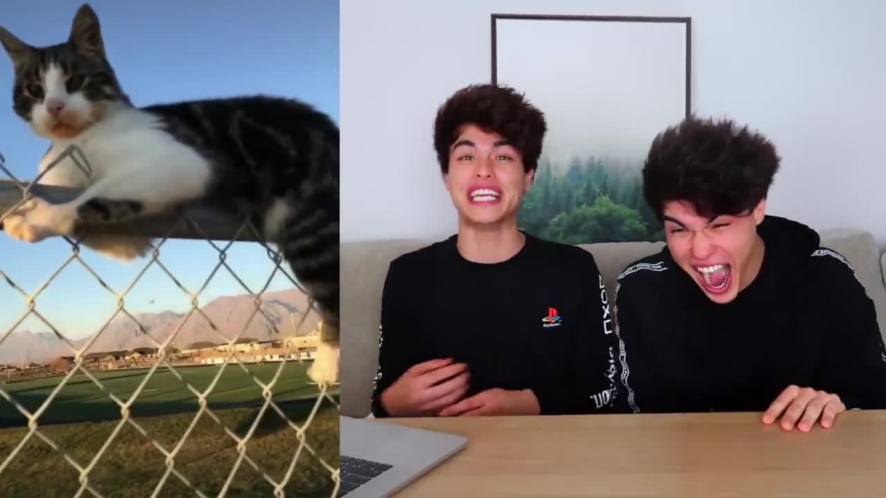 Tik tok That are Actually funny stokes twins