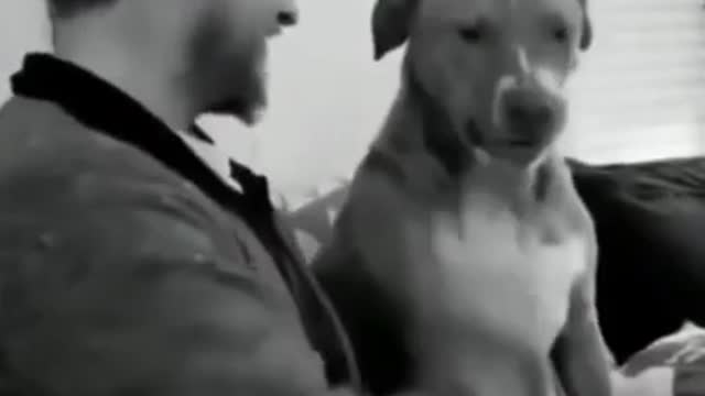 🤣🤣🤣 Animals!! Cute And Funny Dogs Cats Videos Compilation