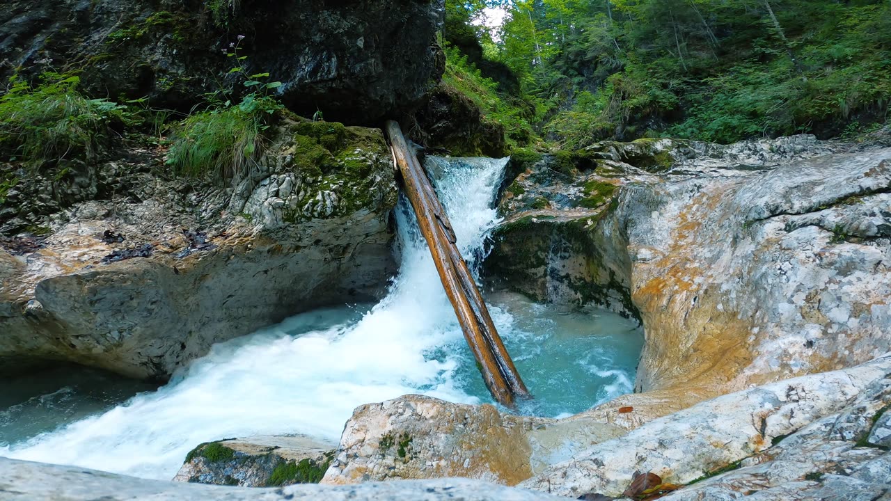 Forest River Flowing Through Rocks