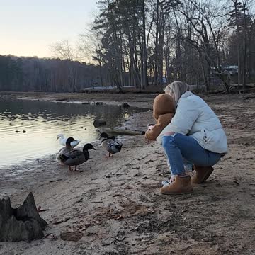 Look at them baby ducks