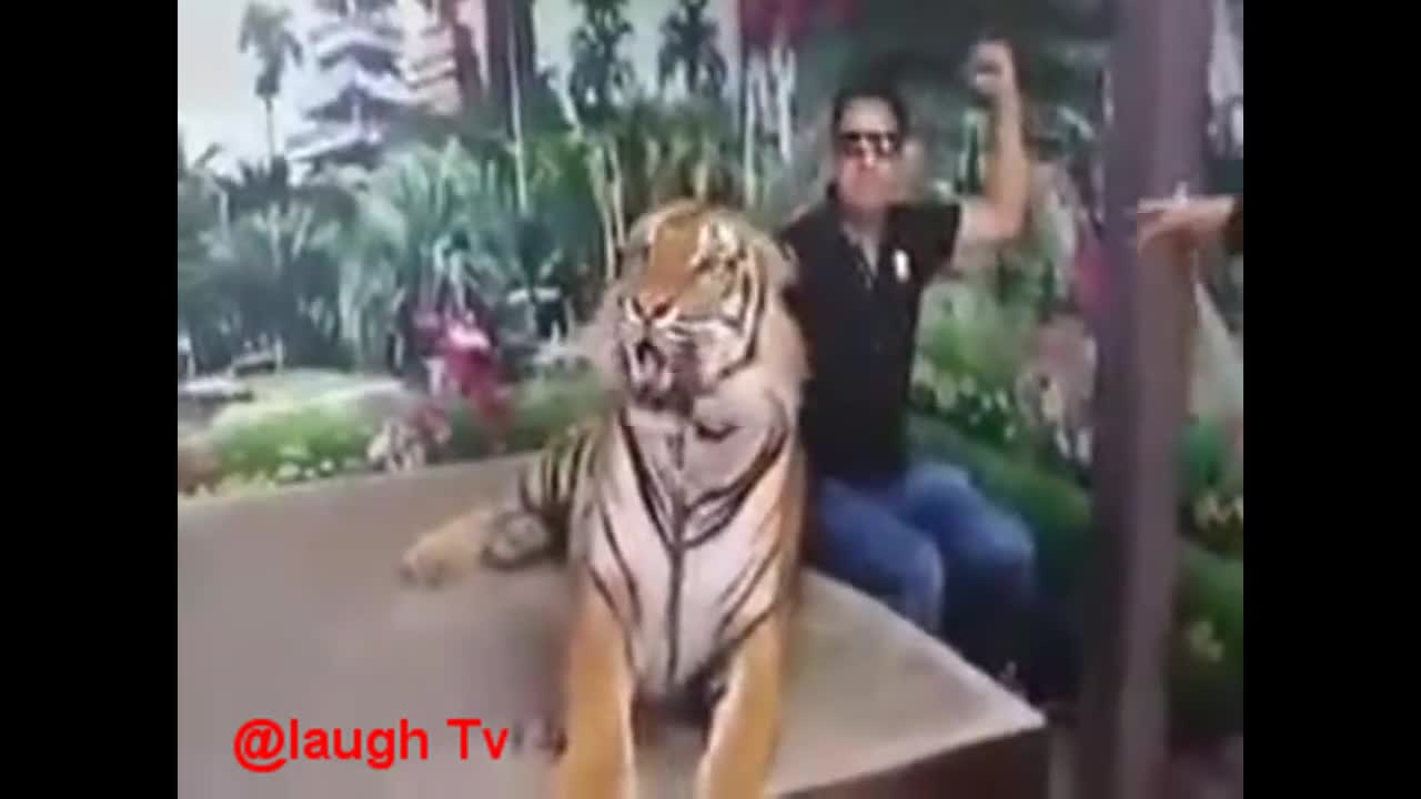 Most Viral Funny Videos 2021 Funny Try Not To Laugh Challenge