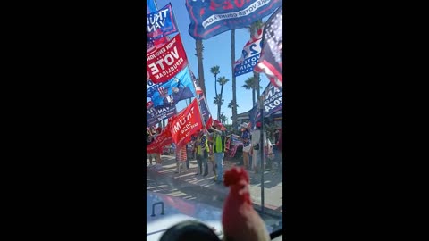 Waving my cock at my Trump friends. Trump 2024!!!