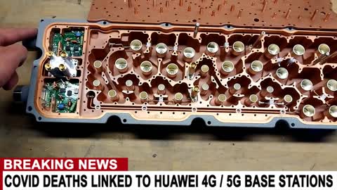 Covid deaths link to 5G. Massive share, the virus has been exposed for what it is.