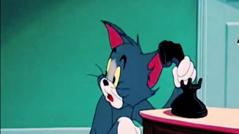 Tom and Jerry funny videos