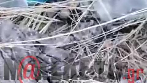 Αλεξανδρούπολη 1