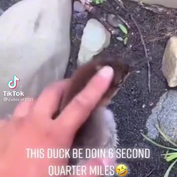 How to run away from Democrats