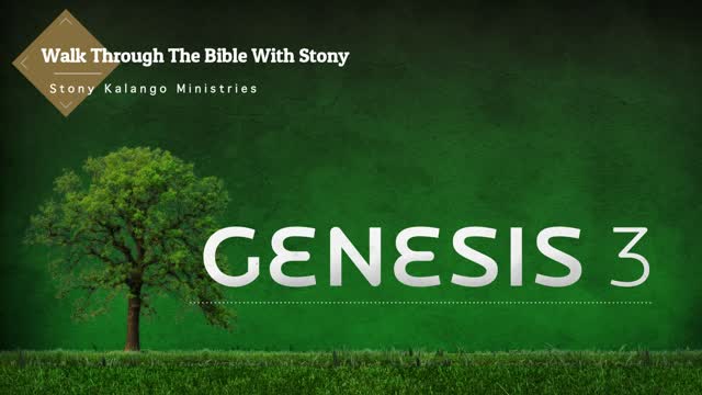 Genesis Chapter 3 - Day 3 of Walking Through The Entire Bible With Stony Kalango