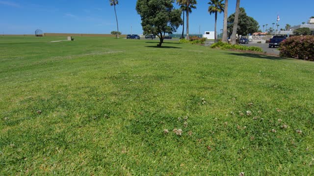 Blasian Babies MaMa Skydio 2+ Drone Coronado Cays Park Raw 4K Video Footage!