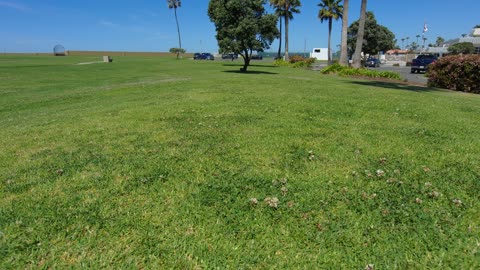 Blasian Babies MaMa Skydio 2+ Drone Coronado Cays Park Raw 4K Video Footage!