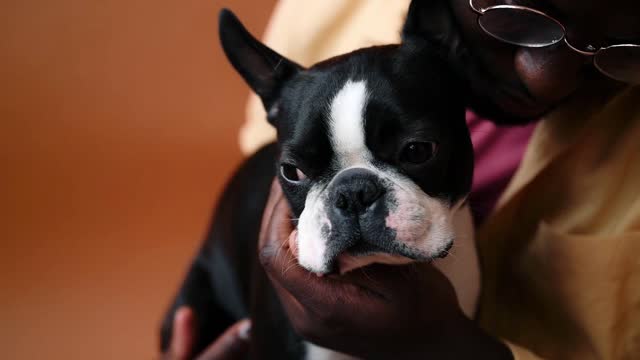 Close up view of a person and his dog