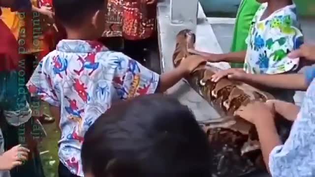 Kids putting their life into danger by playing with python