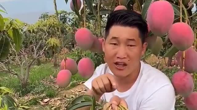 Farm Fresh Ninja Fruit Cutting Desi Satisfying Fruit Ninja Fruit Ideas | Amazing Fruits Video