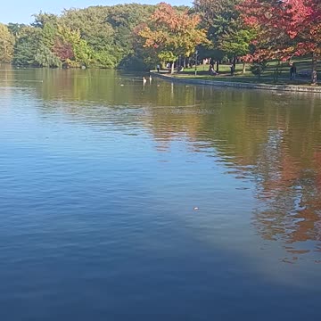 Kissena park