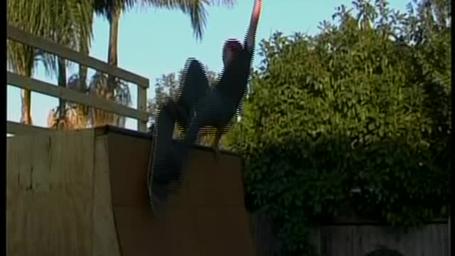 Christian Hosoi on XLTV