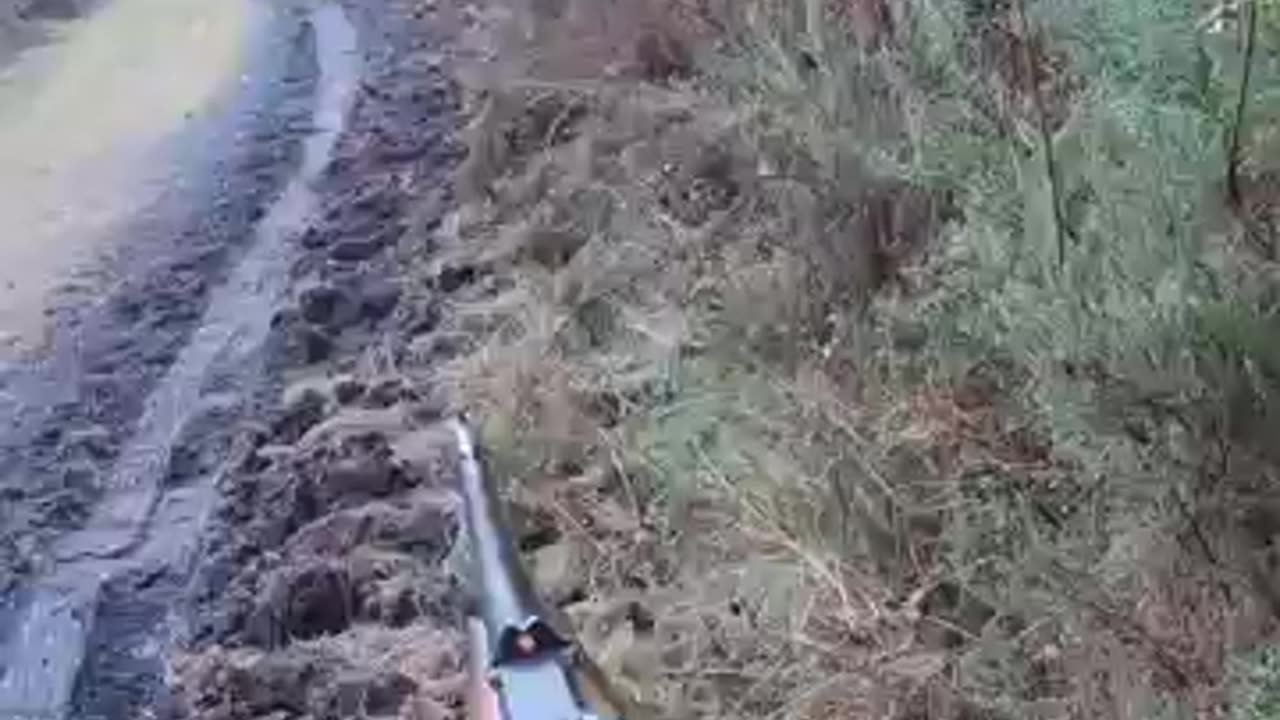Double de singlier au saut du chemin #supscribe #hnting #cinghiale #jabali #wildbor #chasse