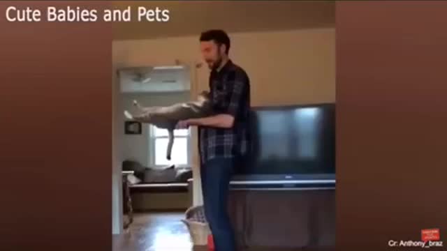 Cat makes action