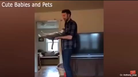 Cat makes action