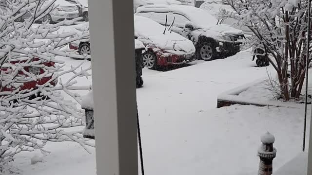 First Snow 1-3-22 Manassas VA 2