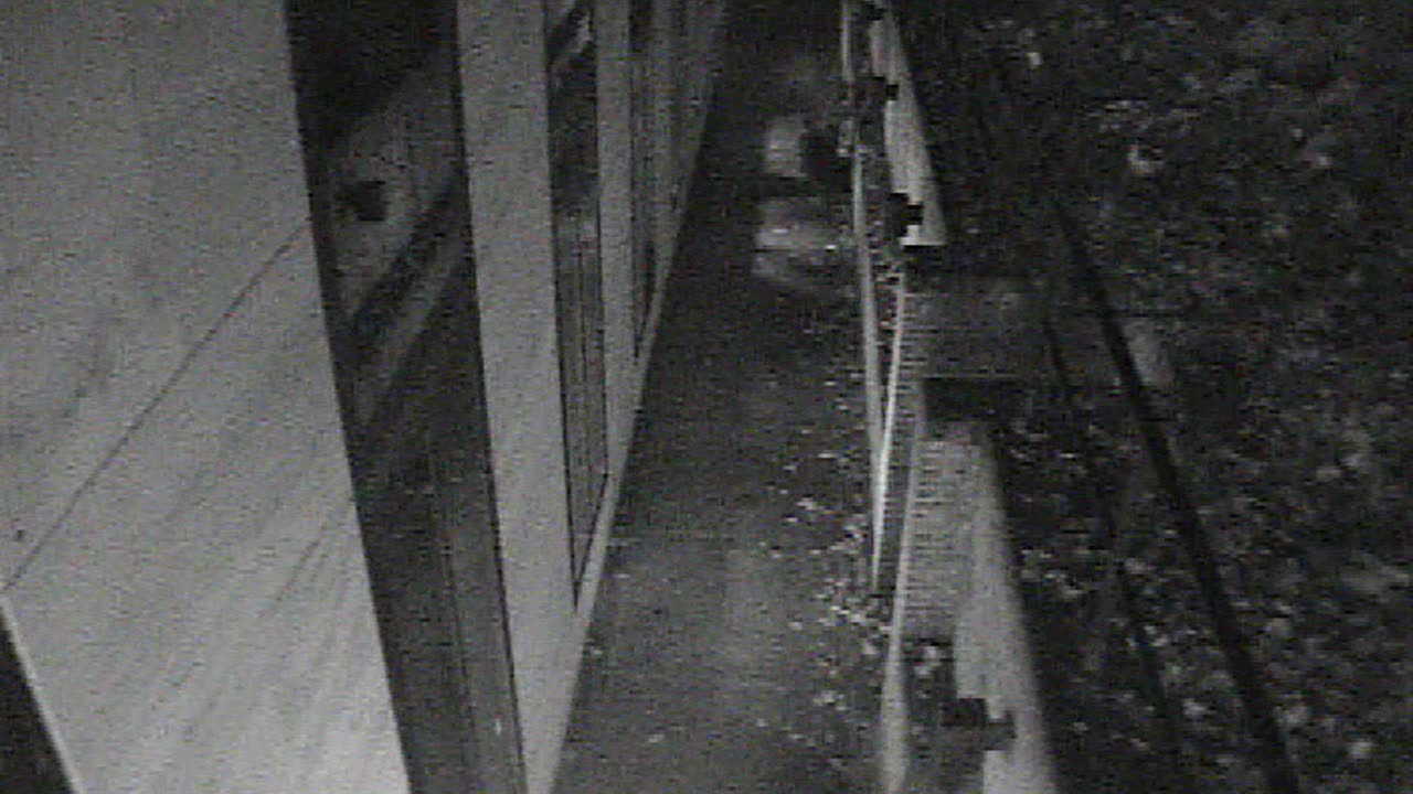 1457HSOB01GroundSoutheast_2021-01-06_03h03min02s753ms.mp4