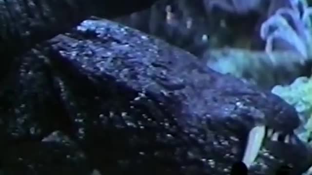 MST3K - K008 - Gamera vs. Guiron