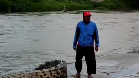 What not to do wjan you see a wild crocodile !