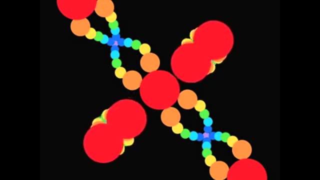 Rainbow Chromosomes The Calibration of the Universe (Heal DNA)