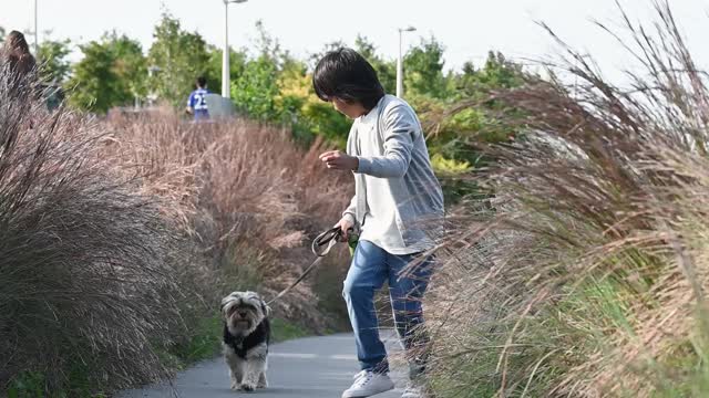 Little Boy Running with His Dog