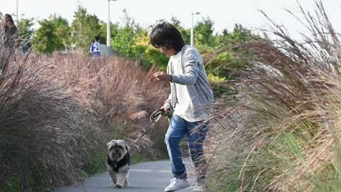 Little Boy Running with His Dog