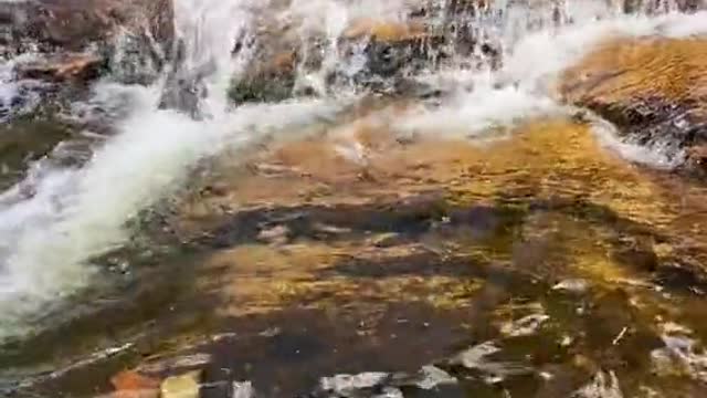 Let it flow 🍃💧