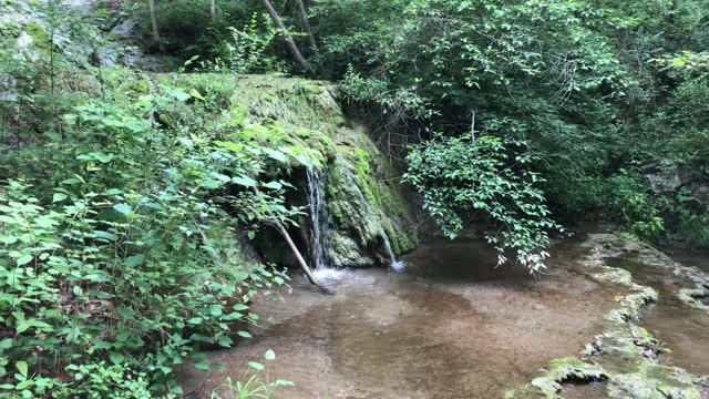 Walking Thru Natural Bridge