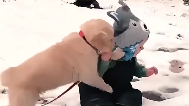 Play with snow