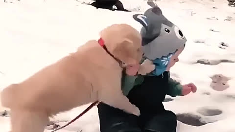 Play with snow