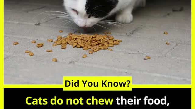 Did you know about the facts