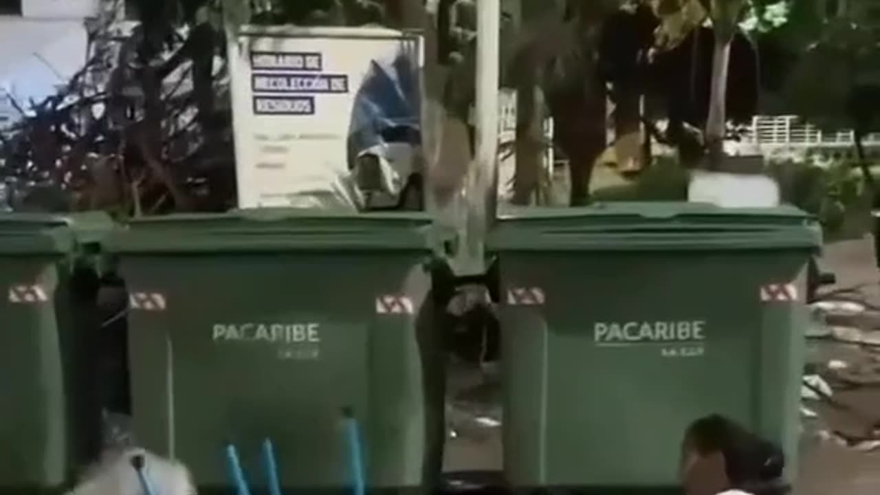 Funny Video Part 8 😂😂