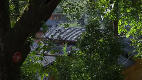 Walnuts from Thousand-Year-Old Trees