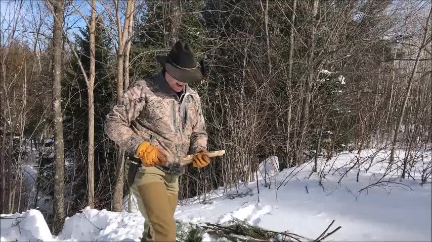 When Snowshoes Are a MUST