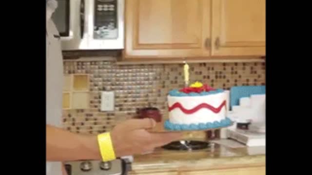 Cat birthday gif video