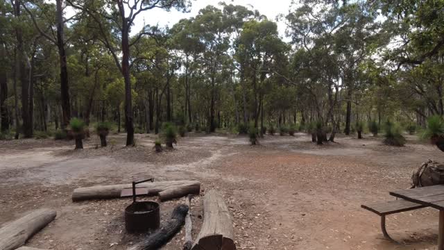 Ball Creek Shelter On The Bibbulmun Track