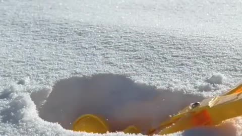 How to make duck using ice