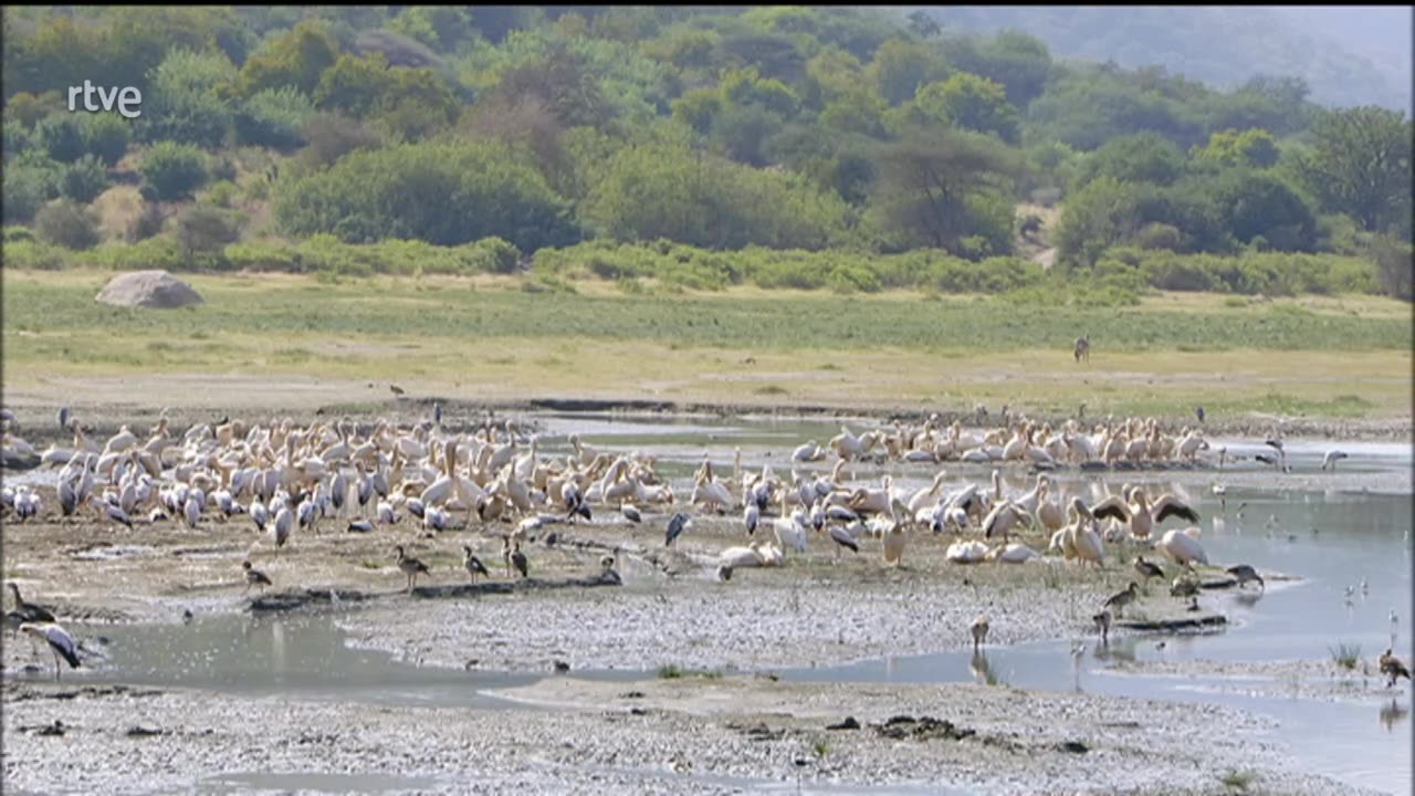 El Parque Nacional del Lago Manyara